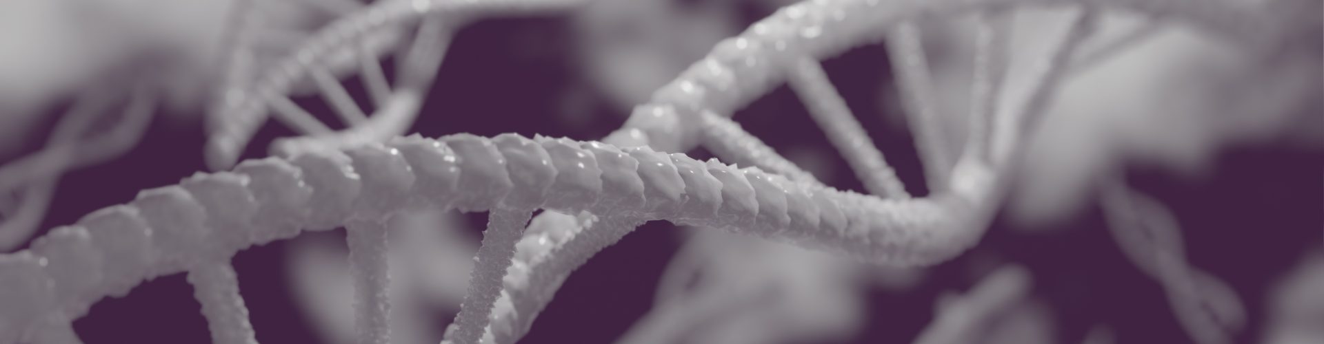 Abbildung DNA-Strang